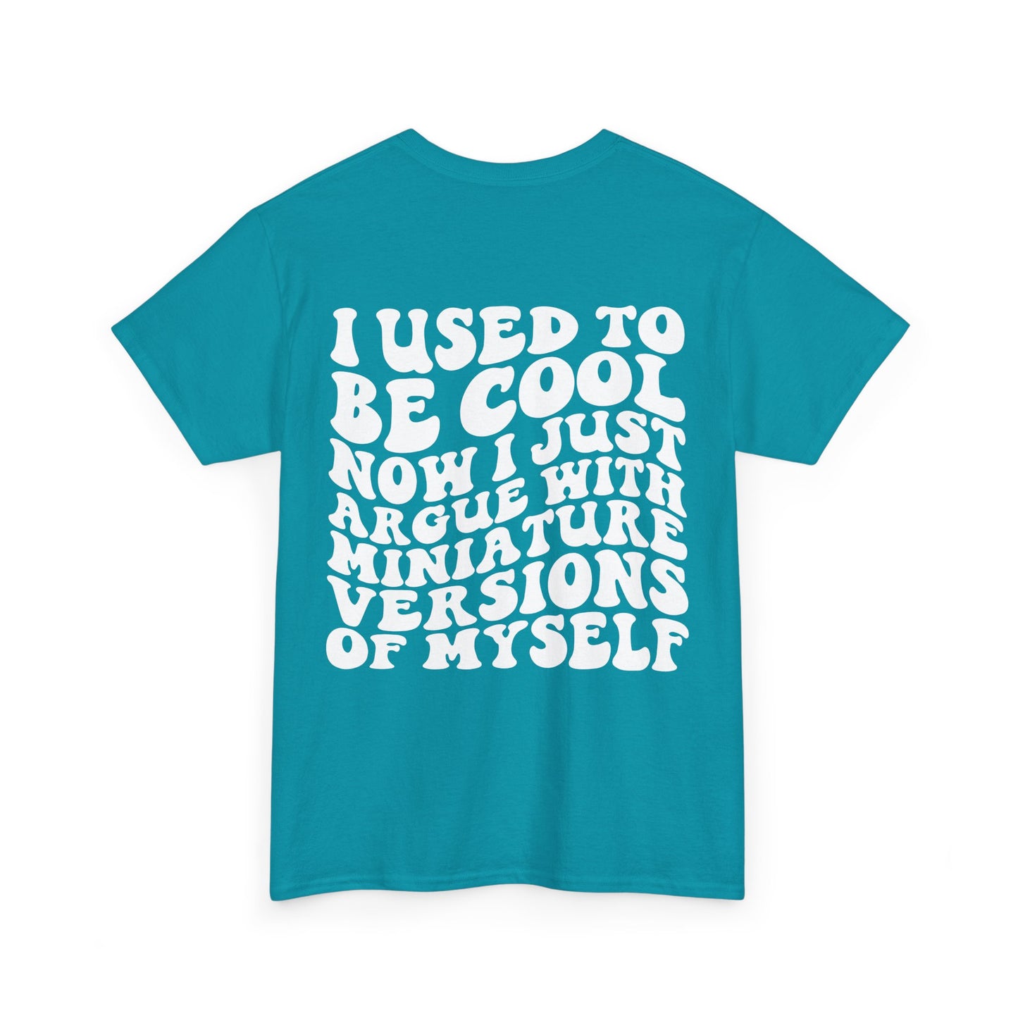 I Used To Be Cool Tee | MORE COLORS